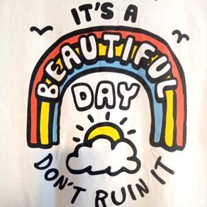 T-Shirt Men's Sz 2XL "It's a Beautiful Day" Sarcasm Humor 100% Cotton Colorful